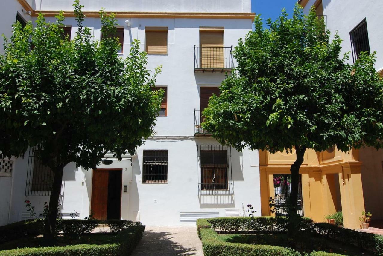 El Rincon De Elena Apartment Jerez de la Frontera