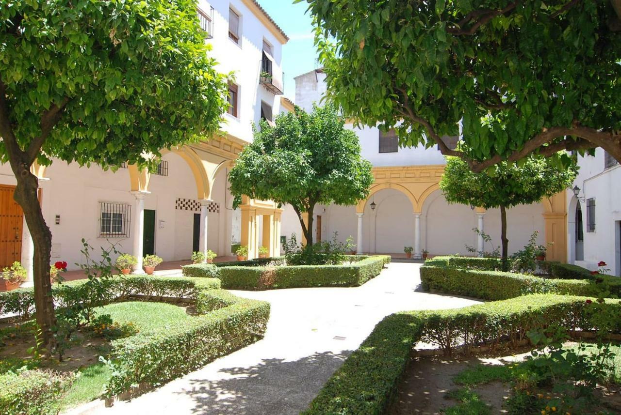 Apartment El Rincon De Elena Jerez de la Frontera